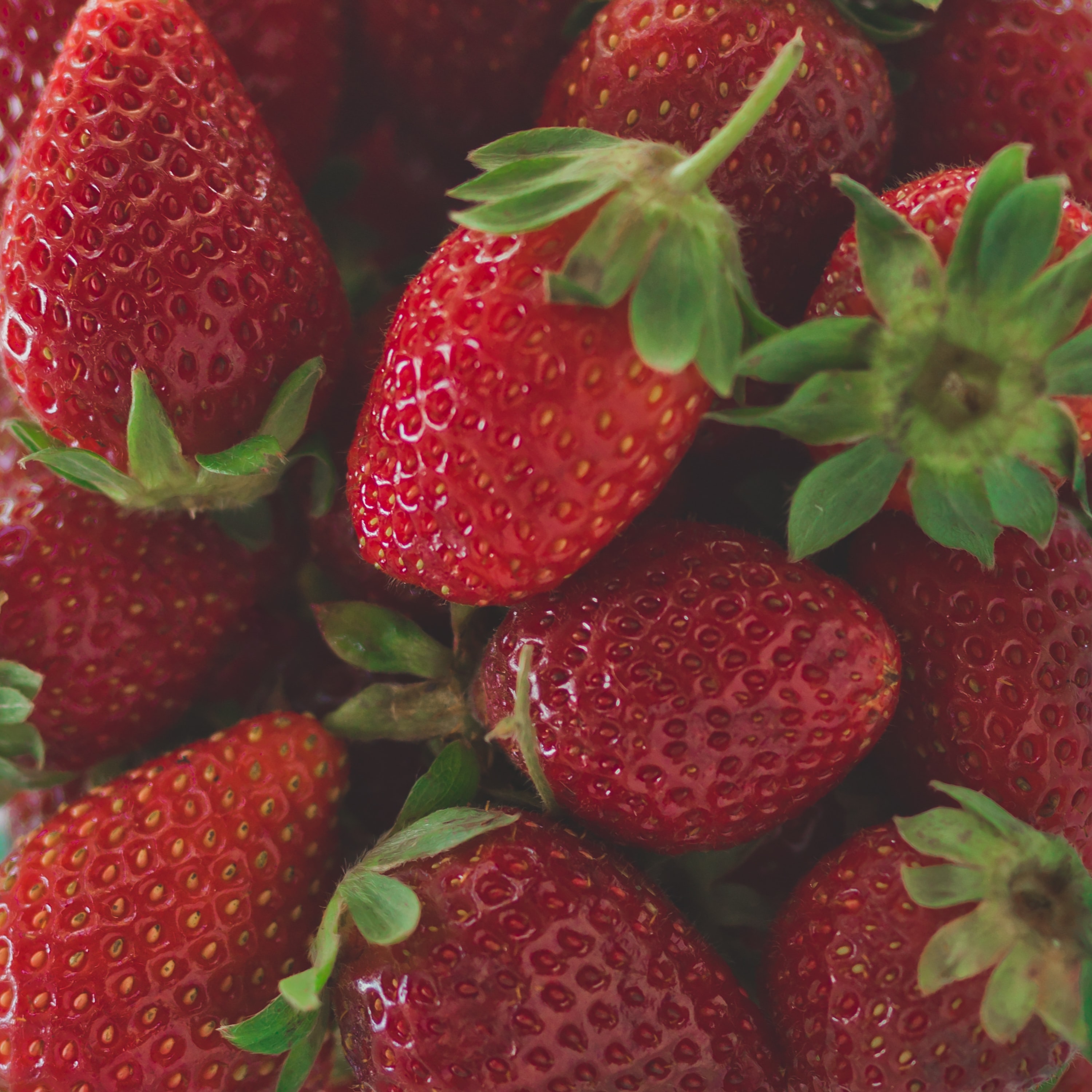 Strawberries
